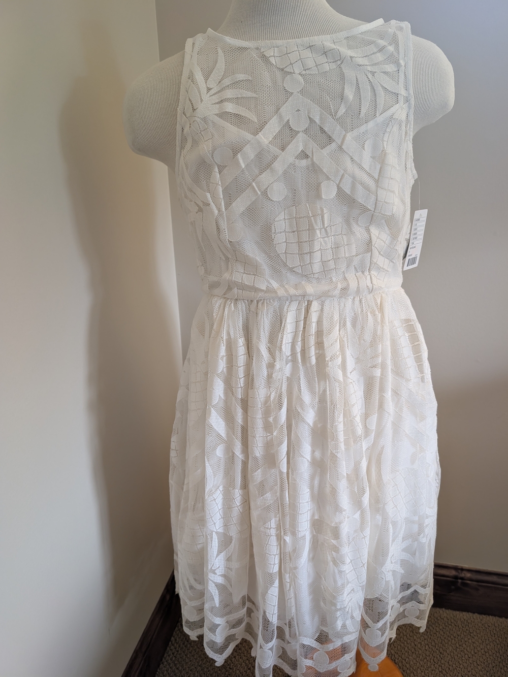 NEW Anthropologie Fit & Flare Pina Lace Dress by Maeve, White (Ivory), Size 6